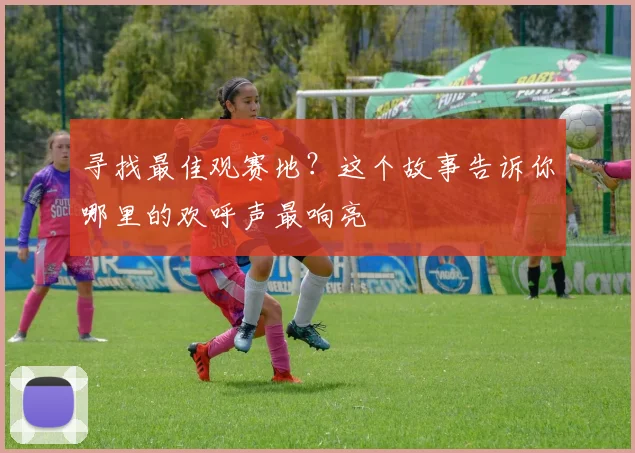 寻找最佳观赛地？这个故事告诉你哪里的欢呼声最响亮