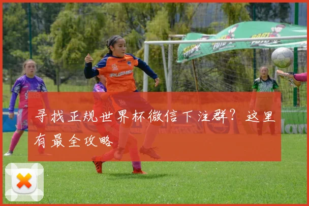 寻找正规世界杯微信下注群？这里有最全攻略