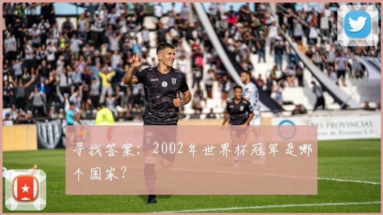 寻找答案：2002年世界杯冠军是哪个国家？