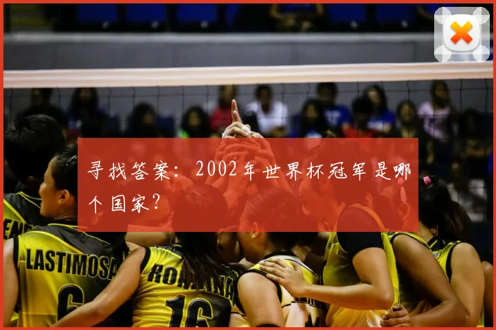 寻找答案：2002年世界杯冠军是哪个国家？